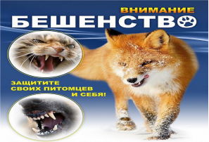 Памятка по бешенству Памятка по бешенству.