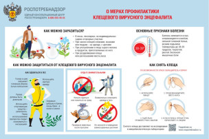 Эффективная мера профилактики клещевого вирусного энцефалита (КВЭ) – иммунизация! Эффективная мера профилактики клещевого вирусного энцефалита (КВЭ) – иммунизация!.