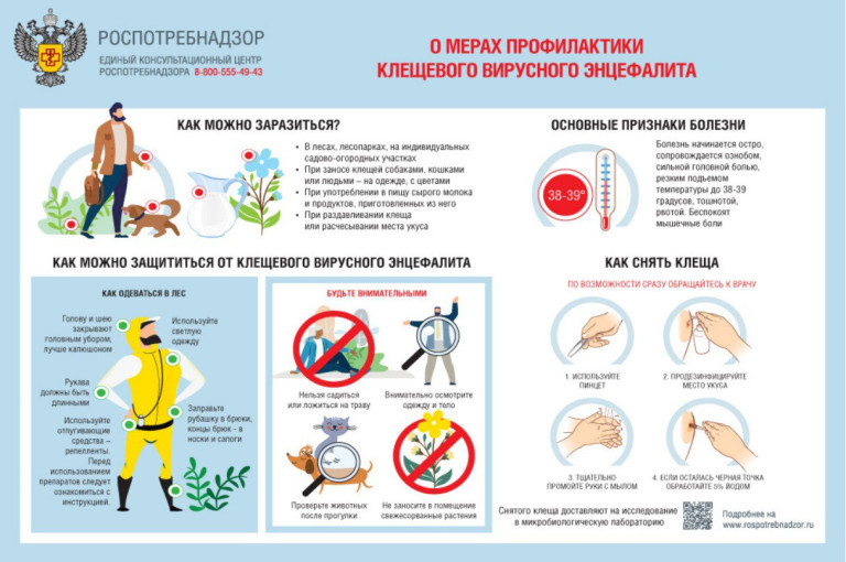 Эффективная мера профилактики клещевого вирусного энцефалита (КВЭ) – иммунизация! Эффективная мера профилактики клещевого вирусного энцефалита (КВЭ) – иммунизация!.